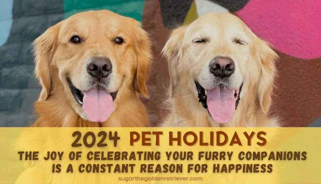 Pet Holidays 2024 – Ultimate List Of Occasions To Celebrate With Your Dog