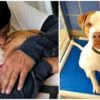 Guy Leaves Dog At Shelter When Landlord Says,“Give Up Your Pit Bull Or You’re Out”