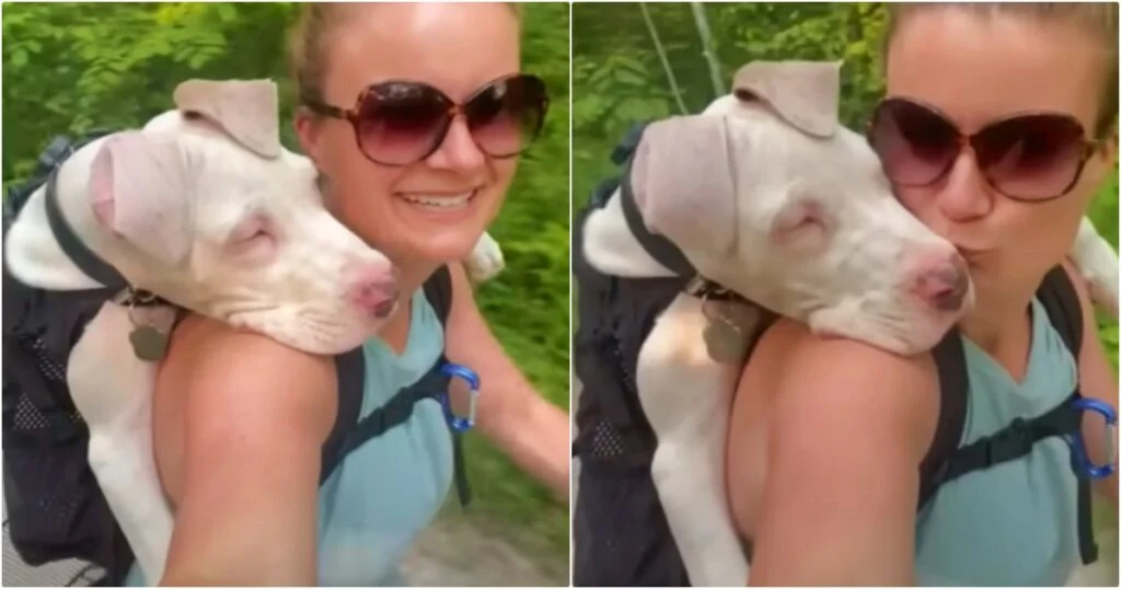 Great Dane Puppy Nuzzles Into Woman Who Overlooks His ‘Defects’