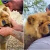 Blind Puppy Feels Arms Around Him And Melts When Guy Says, “You’re Mine”