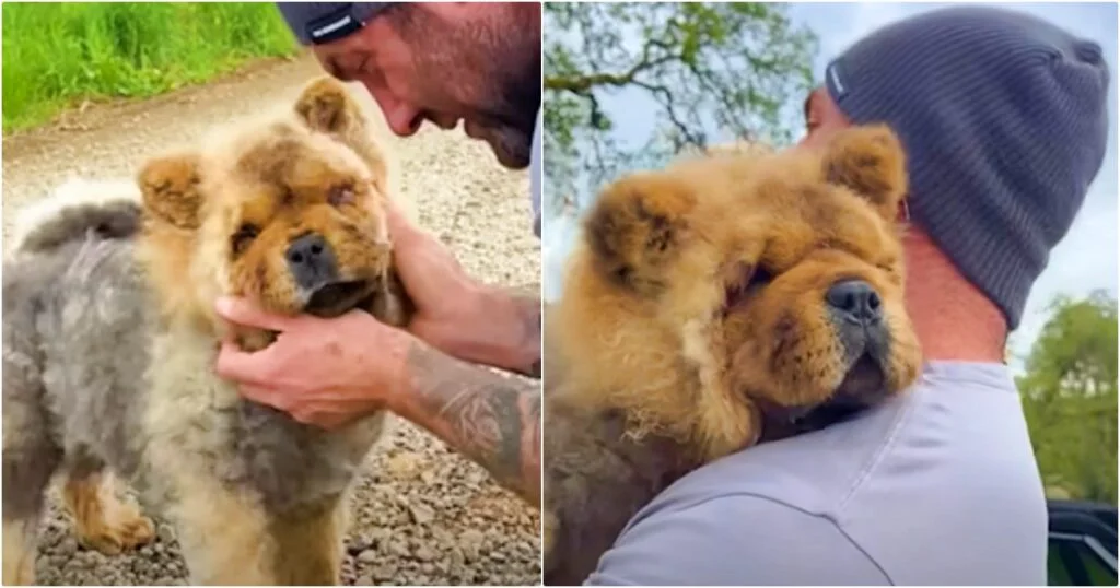 Blind Puppy Feels Arms Around Him And Melts When Guy Says, “You’re Mine”