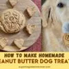 Easy To Make Homemade Peanut Butter Dog Treat Recipe