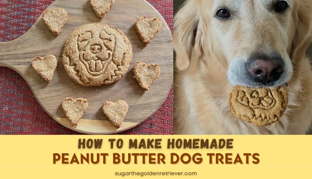 Easy To Make Homemade Peanut Butter Dog Treat Recipe