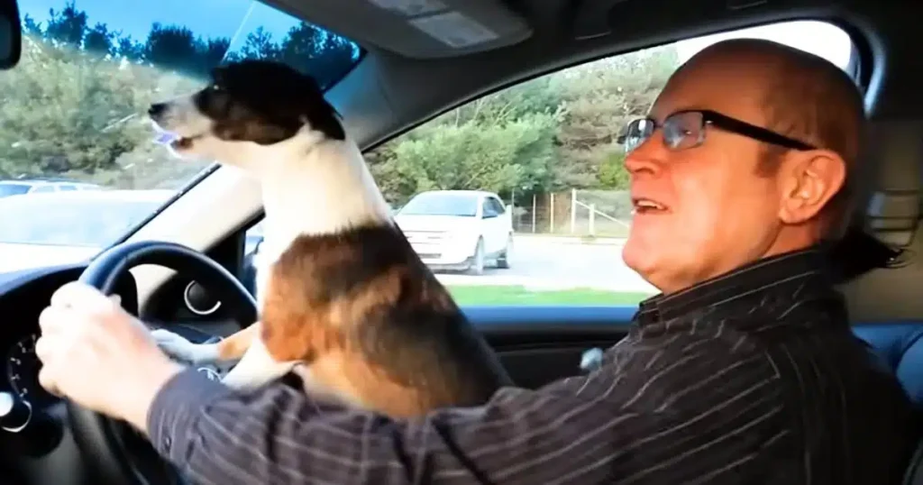 Little Dog Can’t Contain Excitement, Goes ‘Bonkers’ When Dad Arrives at Dog Park