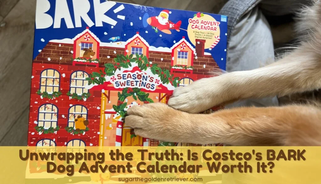 Unwrapping the Truth: Is Costco’s BARK Dog Advent Calendar Worth It?